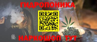 эйфоретик Новодвинск