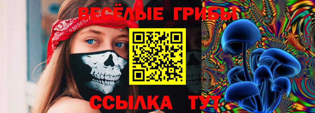 Галлюциногенные грибы прущие грибы Солнечногорск