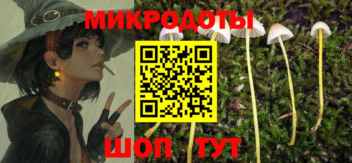 Псилоцибиновые грибы GOLDEN TEACHER  Вход с VPN  Солнечногорск 